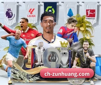 尊皇国际 APP